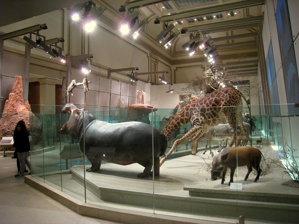 Ett av världens mest besökta museum